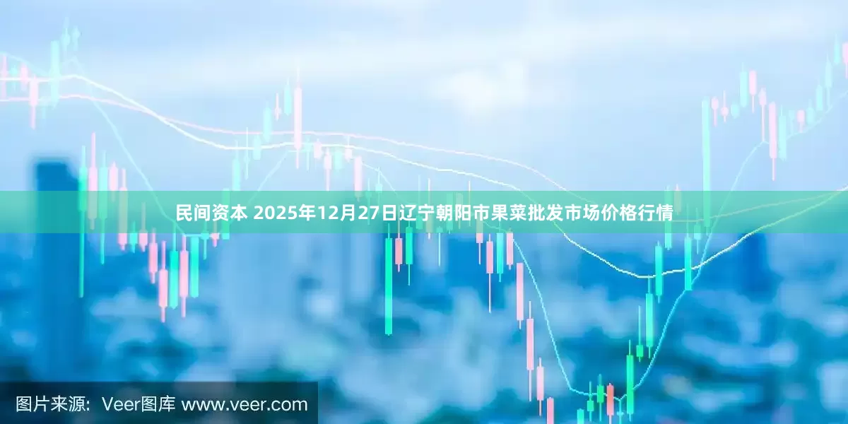 民间资本 2025年12月27日辽宁朝阳市果菜批发市场价格行情