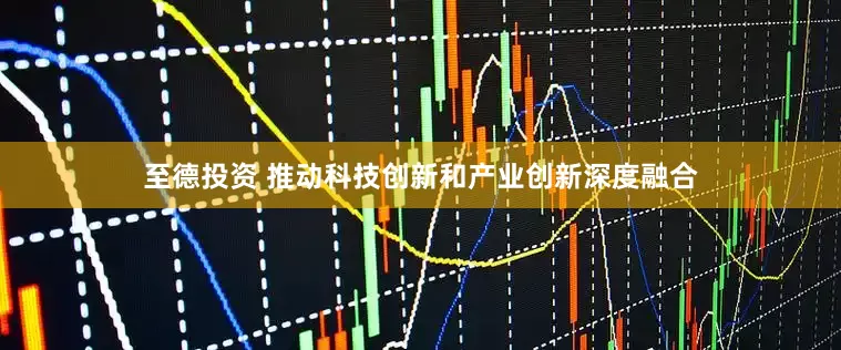 至德投资 推动科技创新和产业创新深度融合
